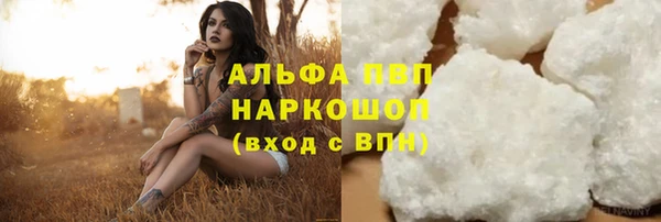 шишки Абаза