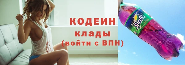 шишки Абаза