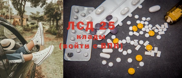 шишки Абаза