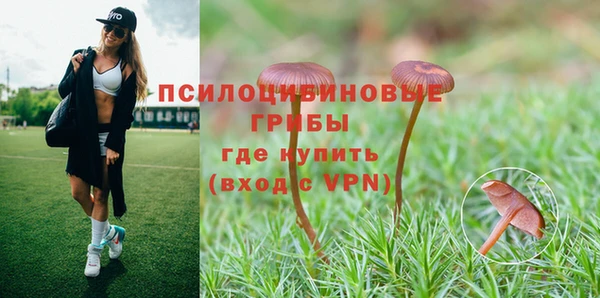 шишки Абаза