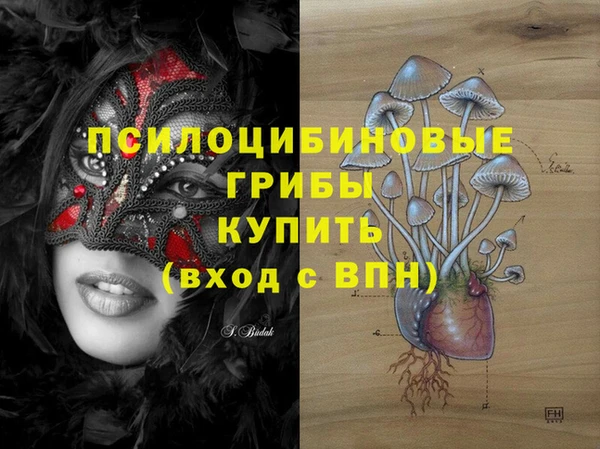 МДПВ Абдулино