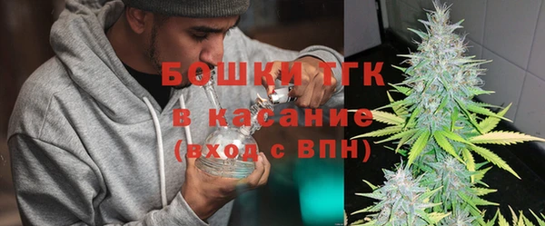 шишки Абаза
