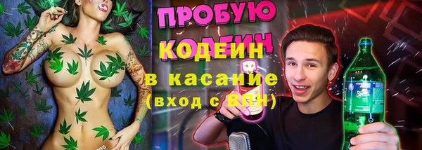 шишки Абаза
