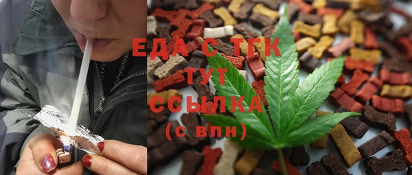 шишки Абаза
