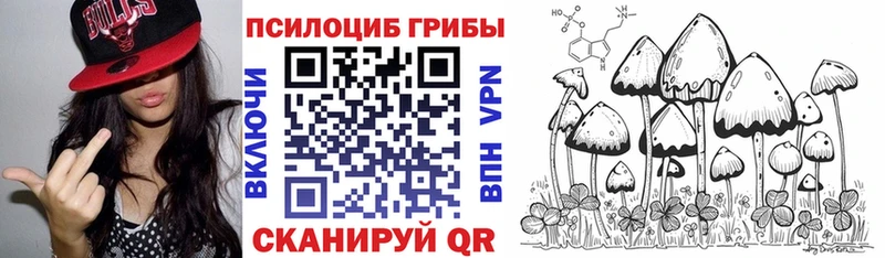 Галлюциногенные грибы мицелий  Ялуторовск 